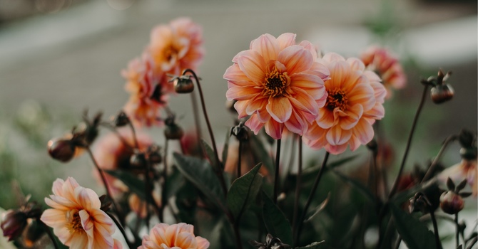 Substance Abuse and Addiction Treatment